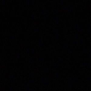 Meet your Posher, Aleshia